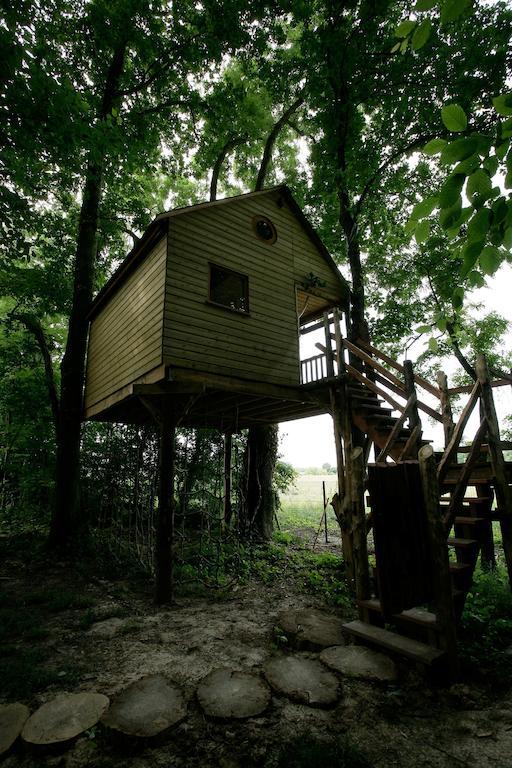 La Cabane Aux Secrets - Au Milieu De Nulle Part Outines Cameră foto